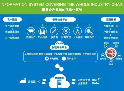 中國生豬產業企業數字化發展加速 牧原、溫氏、正邦、新希望積極布局