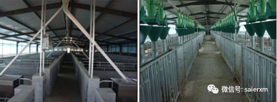 畜牧行業迎來多重利好與挑戰 飼料添加劑新規、原料藥停產、養豬巨頭業績創新高